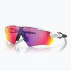 Napszemüveg dziecięce Oakley Radar EV XS Path matte white/prizm road