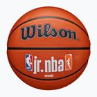 Wilson NBA JR Fam Logo Authentic Outdoor barna kosárlabda 6-os méret
