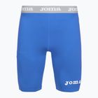Férfi Joma Warm Fleece termál rövidnadrág királyi színű