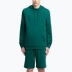 Férfi Reebok Identity Small Logo kapucnis pulóver kollegiális zöld