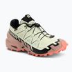 Női Salomon Speedcross 6 GTX futócipő lime cream/mahogany rose/fekete