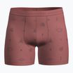 Thermo boxeralsó icebreaker Merino150 Anatomica Boxers Explore More plume/aop