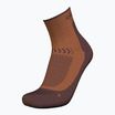 Férfi trekking zokni Icebreaker Merino Hike+ Light Mini dusty clay/carob