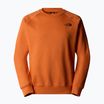 Férfi pulóver The North Face Raglan Box Nse Crew vas bronz/tnf fekete