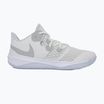 Nike Zoom Hyperspeed Court SE cipő smmit fehér/metál ezüst/tiszta platina
