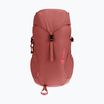 Gyerek túra hátizsák deuter Climber 22 l redwood/hibiscus
