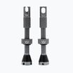 Presta szelepek készlete Peaty'S X Chris King Mk2 Tubeless Valves PTV2-42-SLT-12 szürke 83778
