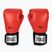 Everlast Pro Style 2 piros bokszkesztyűkEV2120 RED