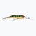 Rapala Deep Tail Dancer Flash Perch RA5835022