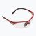 Squash szemüveg Dunlop Competition Eyewear Protective red/clear