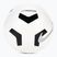 Focilabda Nike Pitch Training white/black/silver méret 5