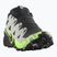 Férfi futócipő Salomon Speedcross 6 GTX fekete/ötvözet/zöld gekkó