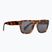 Vans Squared Off Shades S3 gepárd teknőc napszemüveg