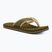 Férfi The North Face Base Camp Flip-Flop II erdei olajzöld/erdei olajzöld flip flopok