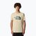 Férfi The North Face Mountain Line Tee kavicsos póló póló