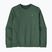 Férfi pulóver Patagonia Fitz Roy Massif Daily Crew Canopy Green