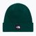 Téli sapka The North Face Dock Worker Recycled Beanie hunter green