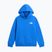 Gyerekpulóver The North Face Evolution Box NSE Pullover Hoodies active blue