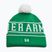 Férfi téli sapka Under Armour Halftime Pom Beanie team kelly green/white/white