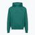 Férfi kapucnis pulóver Under Armour Rival LW Hoodie rack green/black
