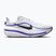 Férfi futócipők Nike Winflo 12 off white/white/wolf grey/black