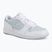 Női cipő Jordan Court Connect Low white/aura/psychic blue