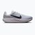 Férfi futócipők Nike Quest 7 pure platinum/white/wolf grey/black