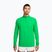 Férfi futópulóver Nike Stride 1/4 Zip Dri-Fit green spark