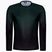 Férfi ASSOS Trail Jersey T3 LS kerékpáros mez zöld 51.24.210.6F