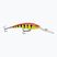 Wobbler Rapala Deep Tail Dancer hot tiger