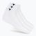 Zoknik Tecnifibre Low-Cut 3 pairs white/marine