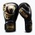 Bokszkesztyűk Venum Giant 2.0 Mike Tyson Pro Boxing black/gold