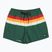Férfi fürdőnadrág Quiksilver Everyday Printed Volley 15" forest outside stripe