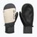 Férfi snowboardkesztyűk DC Franchise Mitt 10K oatmeal