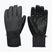 Férfi snowboardkesztyűk DC Franchise 10K black