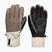 Női snowboardkesztyűk DC Franchise Glove W 10K morel