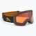 Síszemüveg Alpina Ladis Q black/ gold matt/ gold