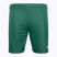 Capelli Sport Cs One Youth Match zöld/fehér gyermek focis nadrág