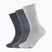 Férfi zokni Skechers Basic 3 pairs light grey melange