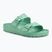 BIRKENSTOCK Arizona EVA Regular flip-flop merész jade