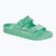 BIRKENSTOCK Arizona EVA Regular flip-flop merész jade