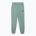 Férfi PUMA ESS No. 1 Logo Sweatpants TR CL CL zöld Hold