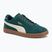 Férfi PUMA Club II Era Suede sötét mirtusz/alpine snow/gum cipő