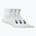 Zokni ASICS Quarter 3 pairs brilliant white