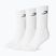 Férfi zokni Boxraw Crew 3 szt. White