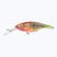 FishTank Charlie papagáj wobbler PRD-CH5F-PR