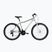 Női mountain bike KROSS Lea 1.0 silver/white/gloss