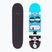 Fish Skateboards Pro Bart 8.0" klasszikus gördeszka