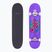 Fish Skateboards Kezdő Huron 8.0" klasszikus gördeszka