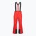 Férfi sínadrágok 4F Fnk M1155 red
